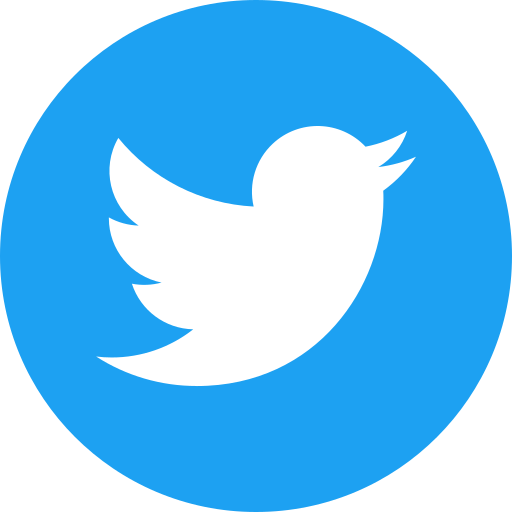 Twitter (X)